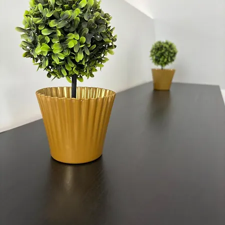 Organgerie Lemon Loft