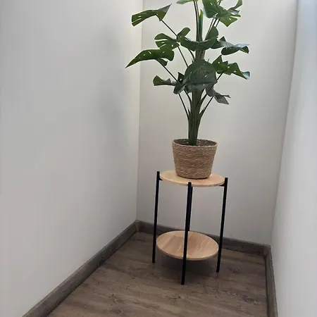 Organgerie Lemon Loft *