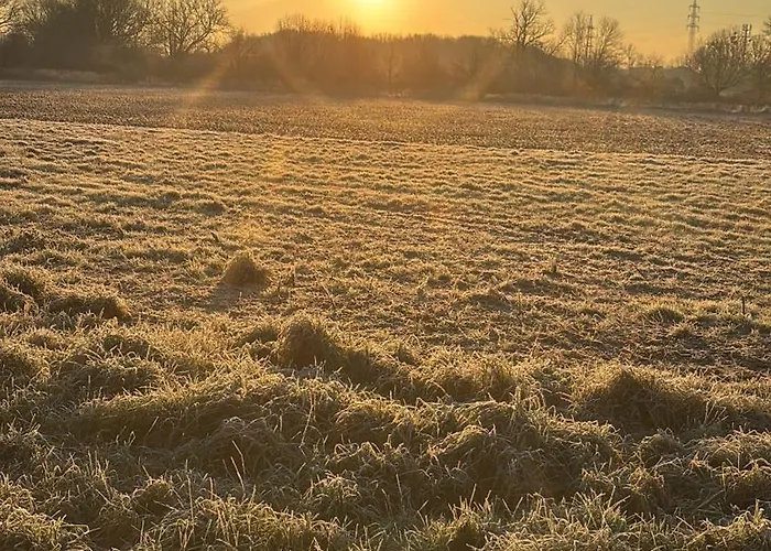 Organgerie Lemon Loft *