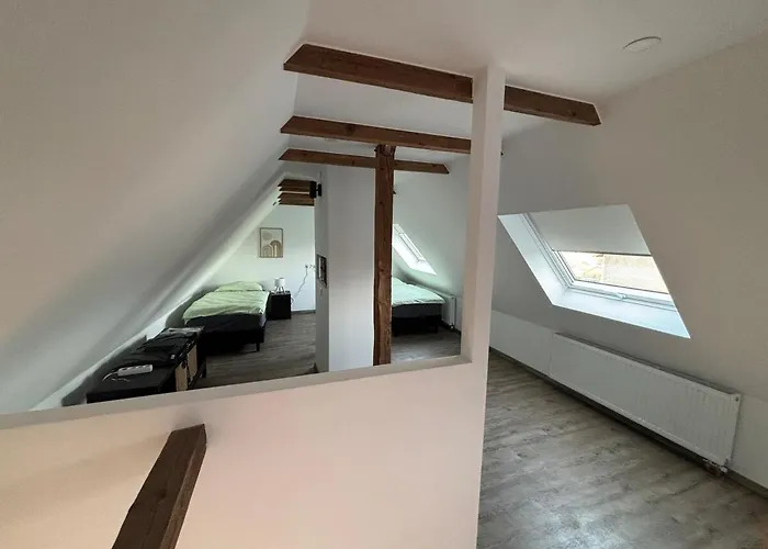 Appartement Organgerie Lemon Loft *