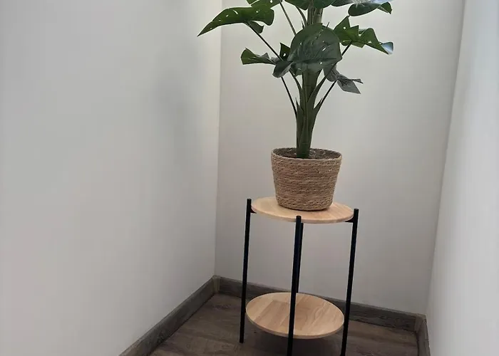 Organgerie Lemon Loft *